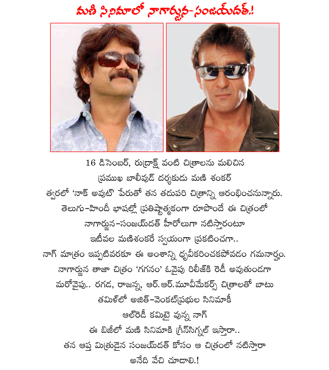 akkineni nagarjuna with sanjaydutt,bollywood director mani shankar,rudraksha director mani shankar,bollywood hero sanjaydutt,nag doing a hindi film with sanjay dutt,hindi film knock out,nag in knock out,nagarjuna doing knock out hindi film  akkineni nagarjuna with sanjaydutt, bollywood director mani shankar, rudraksha director mani shankar, bollywood hero sanjaydutt, nag doing a hindi film with sanjay dutt, hindi film knock out, nag in knock out, nagarjuna doing knock out hindi film